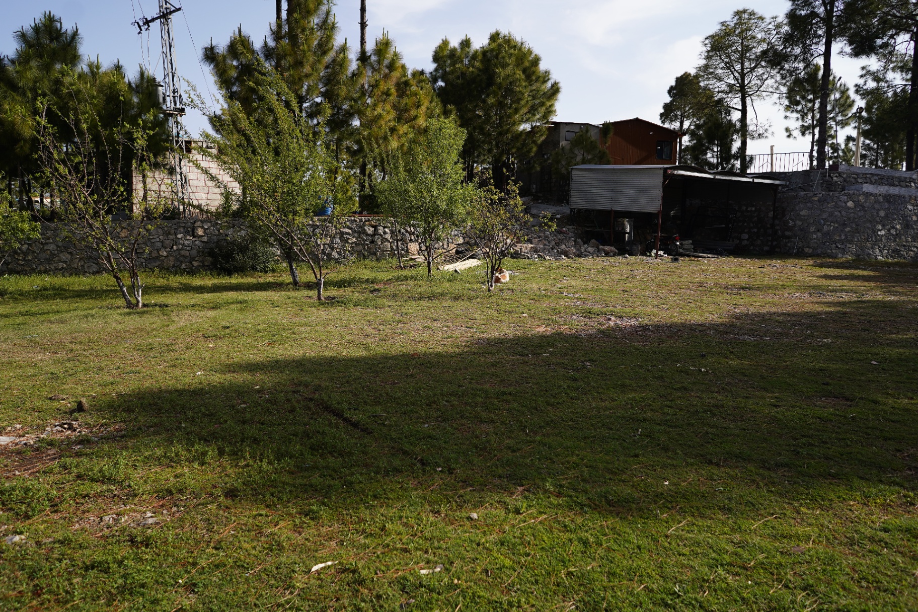 The Grounds